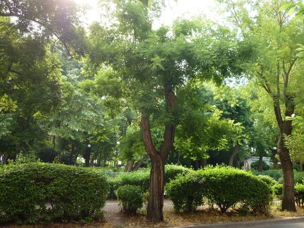 Sea Garden Plaza Apartment - Free Parking Burgas Chambre photo