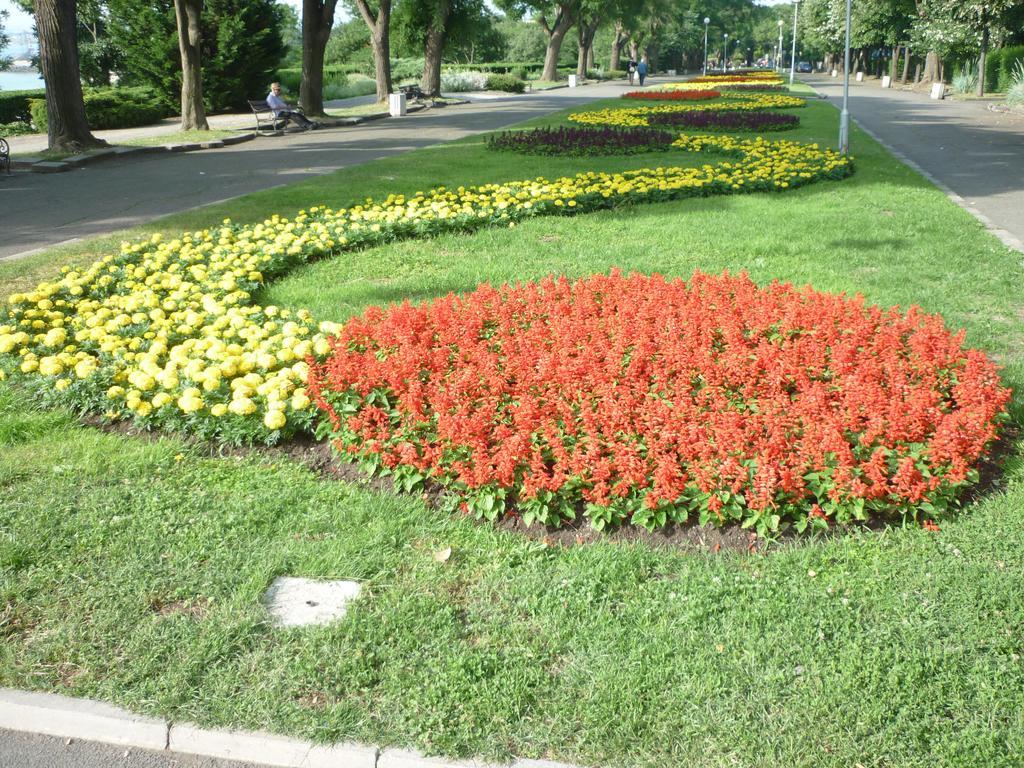 Sea Garden Plaza Apartment - Free Parking Burgas Chambre photo